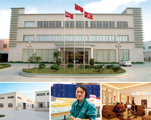 看準(zhǔn)網(wǎng)