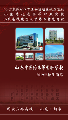 2019年普通專科招生簡章與職業中介活動解析