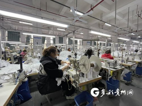 工廠建在家門口 產(chǎn)業(yè)就業(yè)雙豐收，職業(yè)中介活動助力發(fā)展