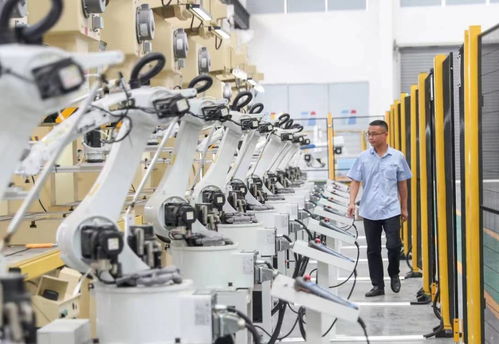 從黑與白到綠野新蹤 華鎣市因地制宜推進(jìn)工業(yè)城、旅游市、物流港建設(shè)，實(shí)現(xiàn)高質(zhì)量發(fā)展轉(zhuǎn)型突圍