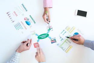 網(wǎng)絡(luò)購物、信息圖表與高清圖片 現(xiàn)代信息咨詢服務(wù)的新維度